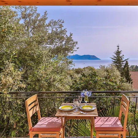 Yoga House מלון 2*