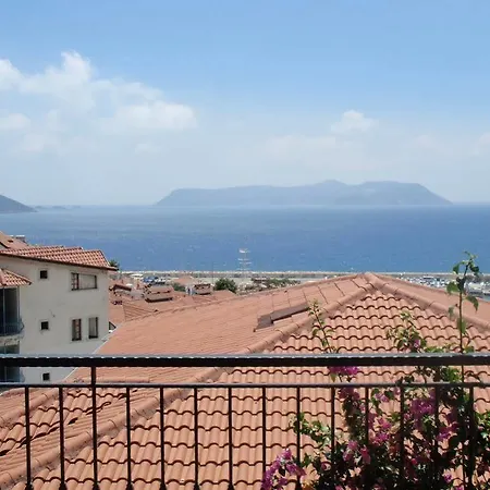 Yoga House מלון 2*